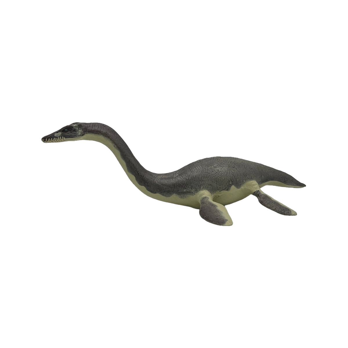 Plesiosaurus (Papo)