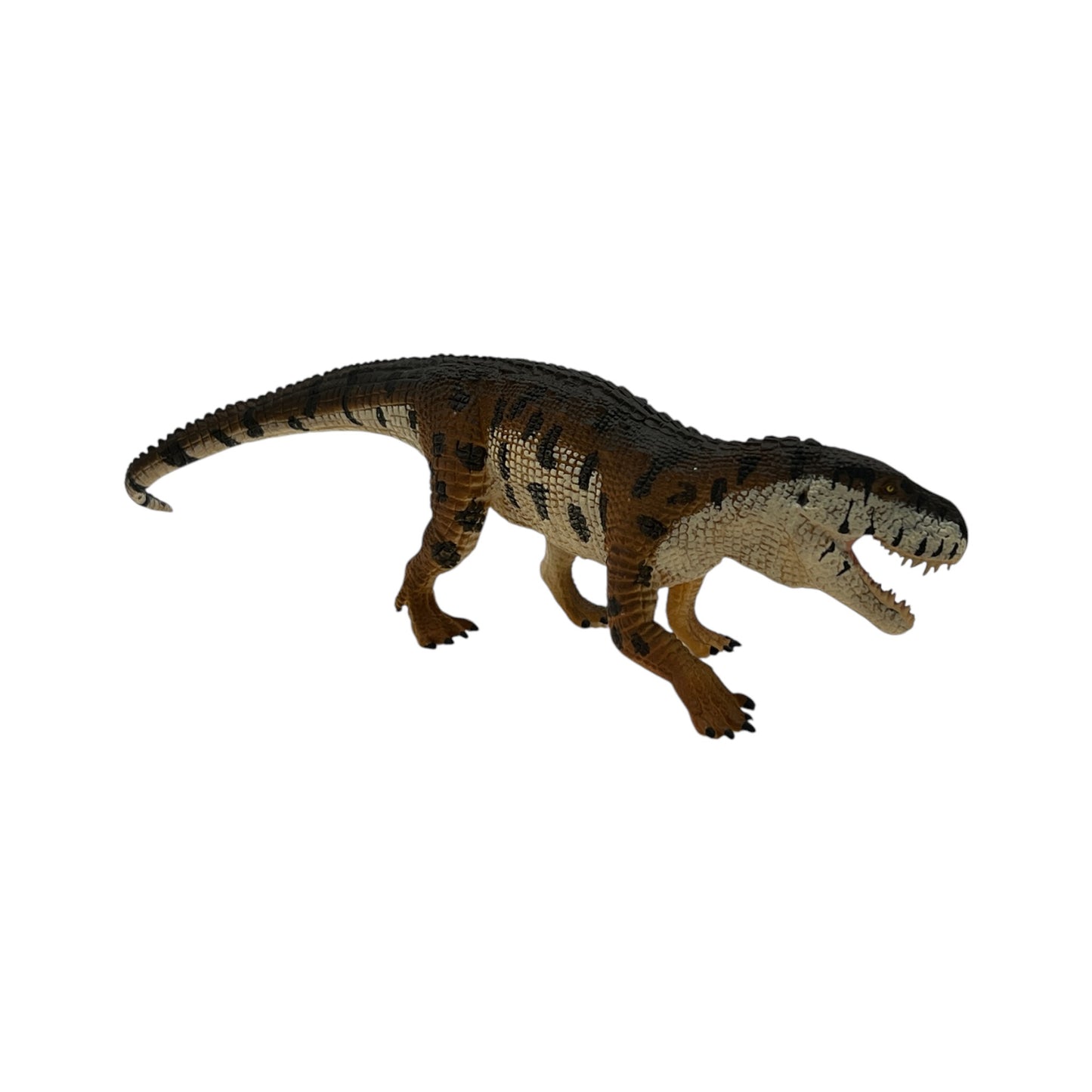 Prestosuchus (Safari)