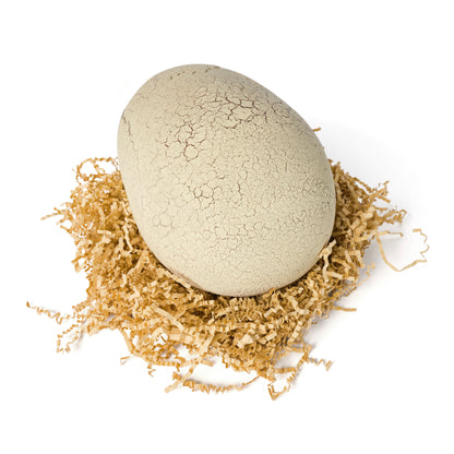 Primal Hatch (T-Rex)