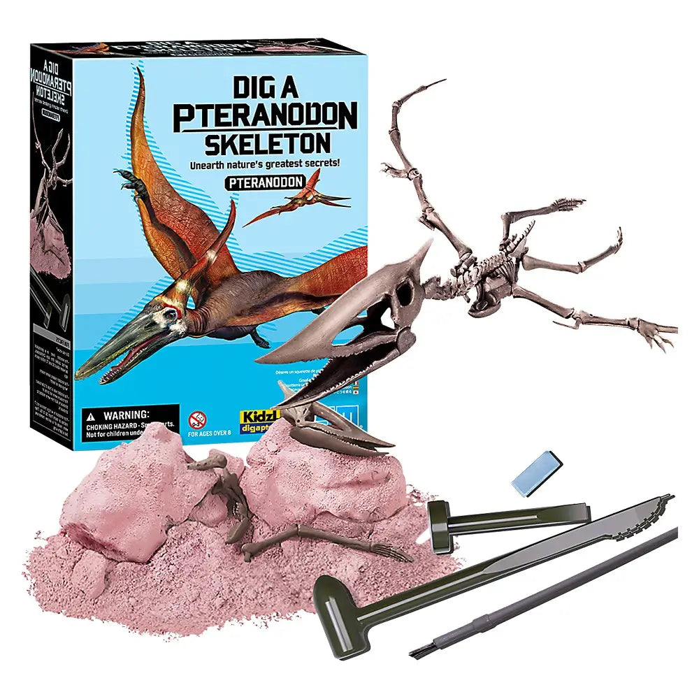 Dig a Skeleton