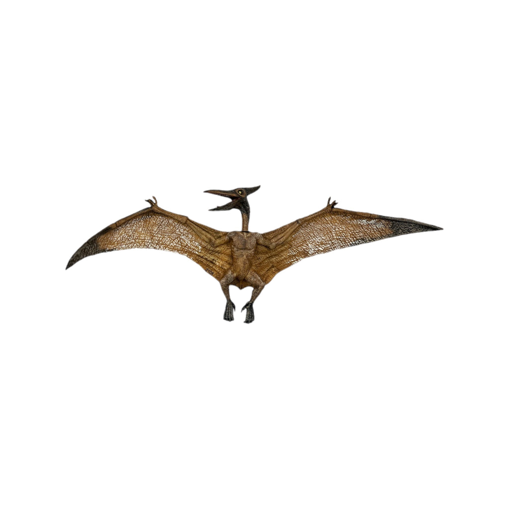Pteranodon (Papo)