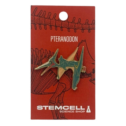 Prehistoric Pin