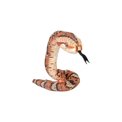 Coilkins Snake