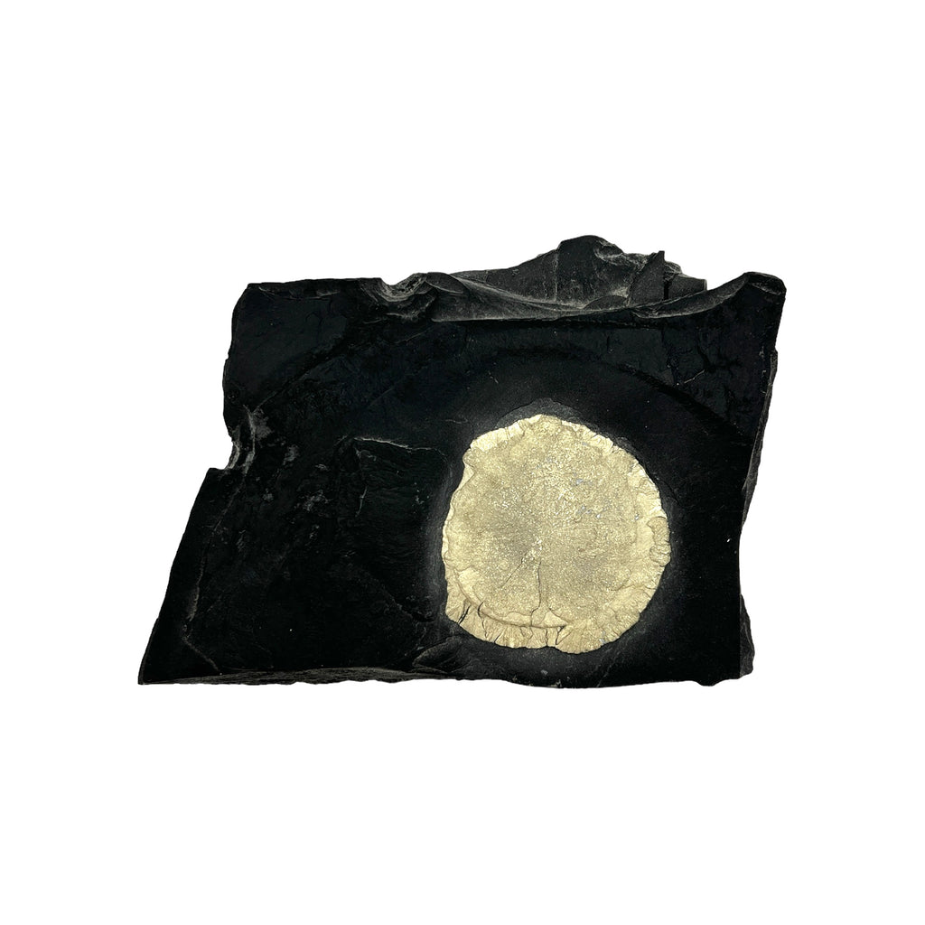 Pyrite Sun in Matrix