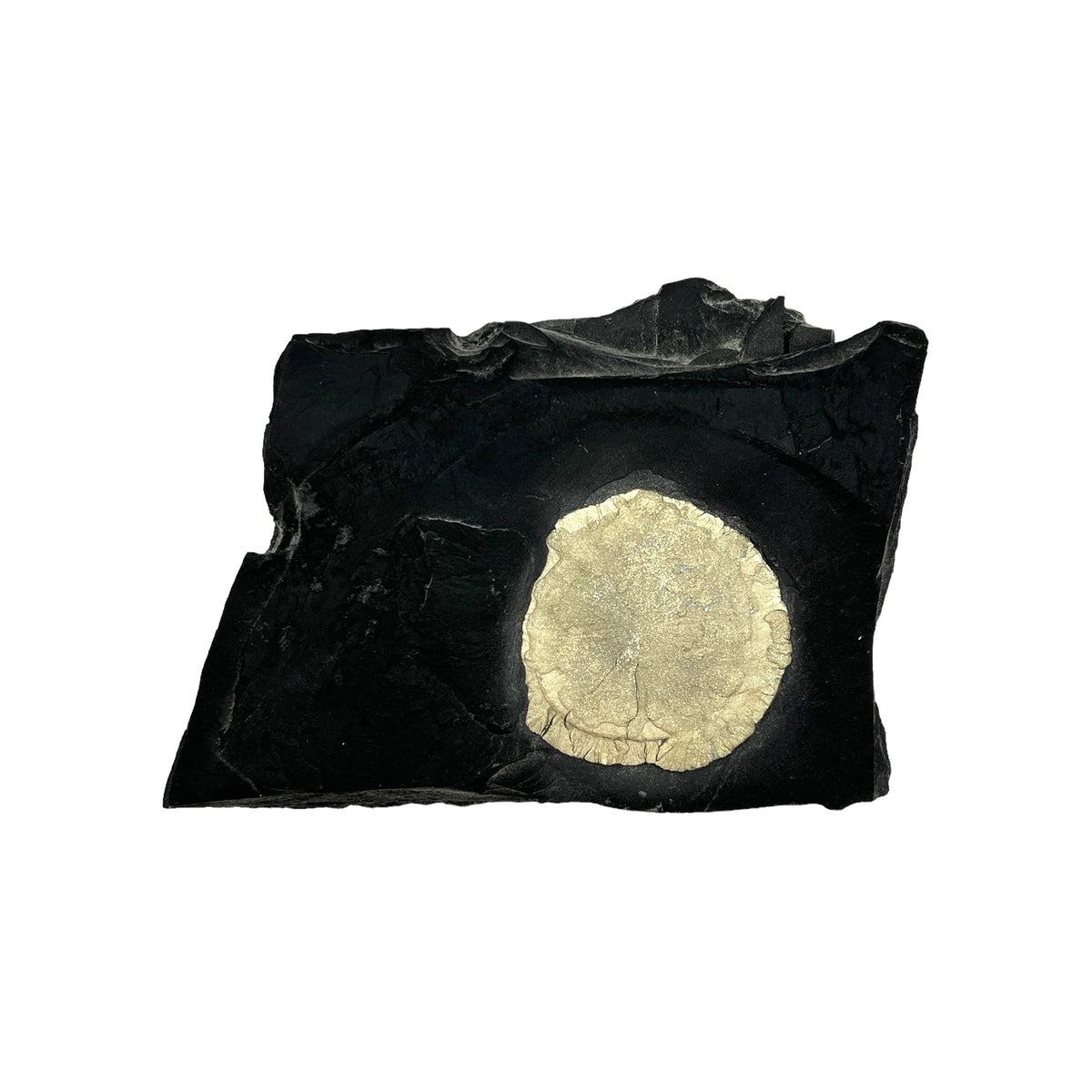 Pyrite Sun in Matrix