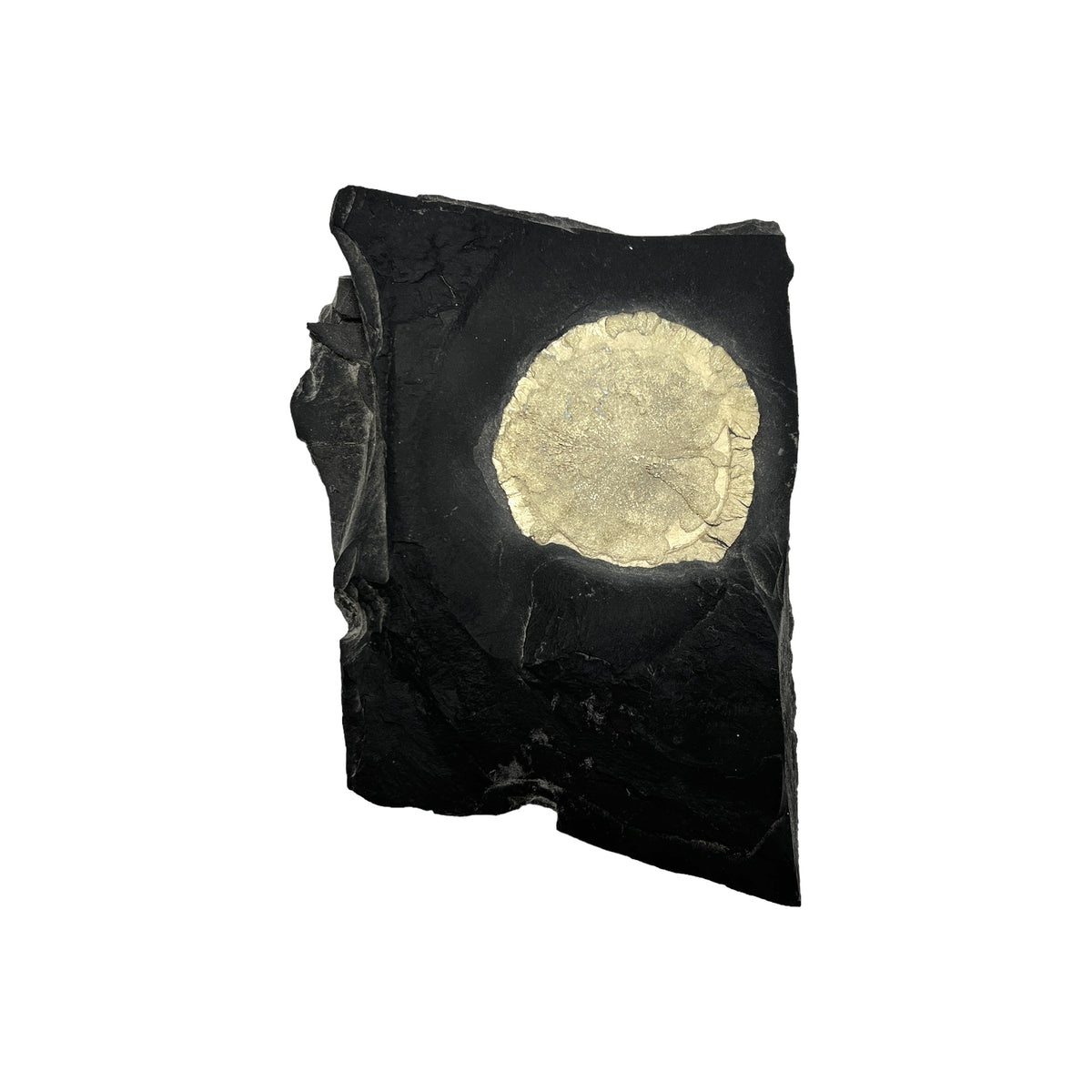 Pyrite Sun in Matrix