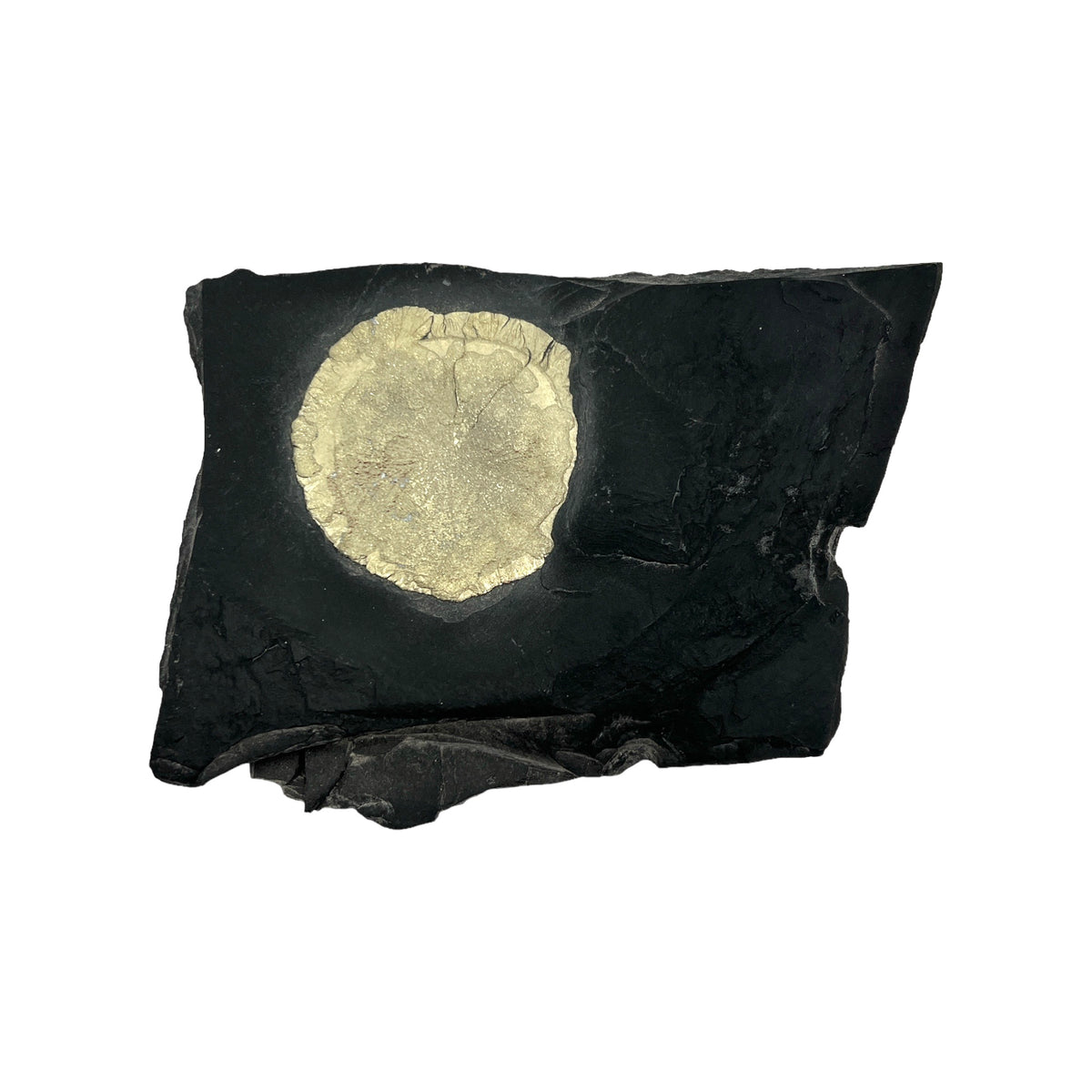 Pyrite Sun in Matrix