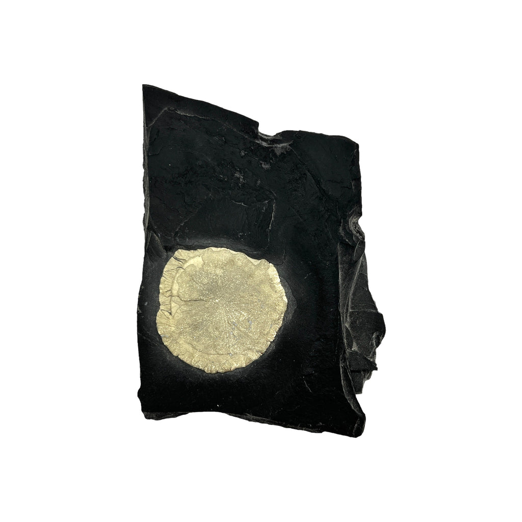 Pyrite Sun in Matrix