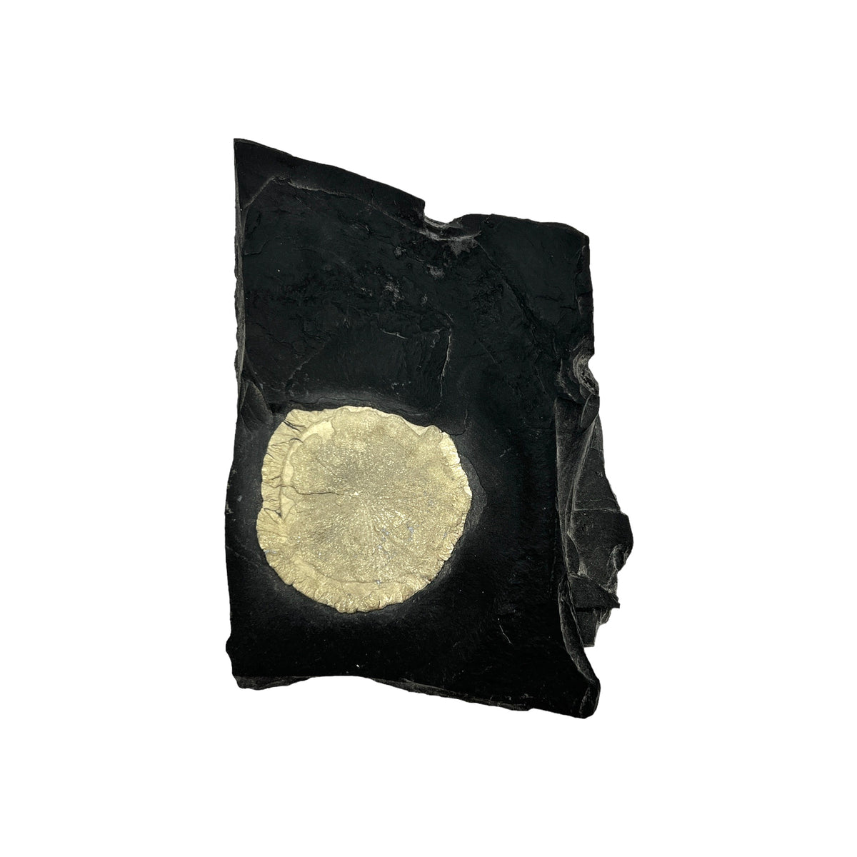 Pyrite Sun in Matrix