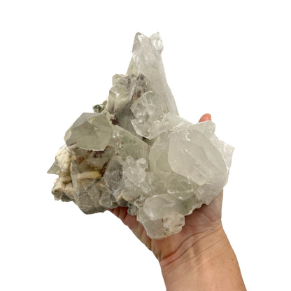 Quartz (Quartz Cluster)