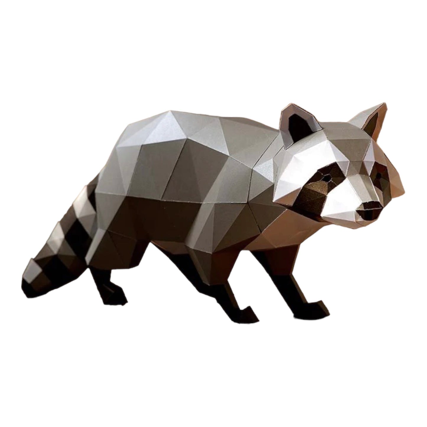 PaperCraft 3D Model (Raccoon)