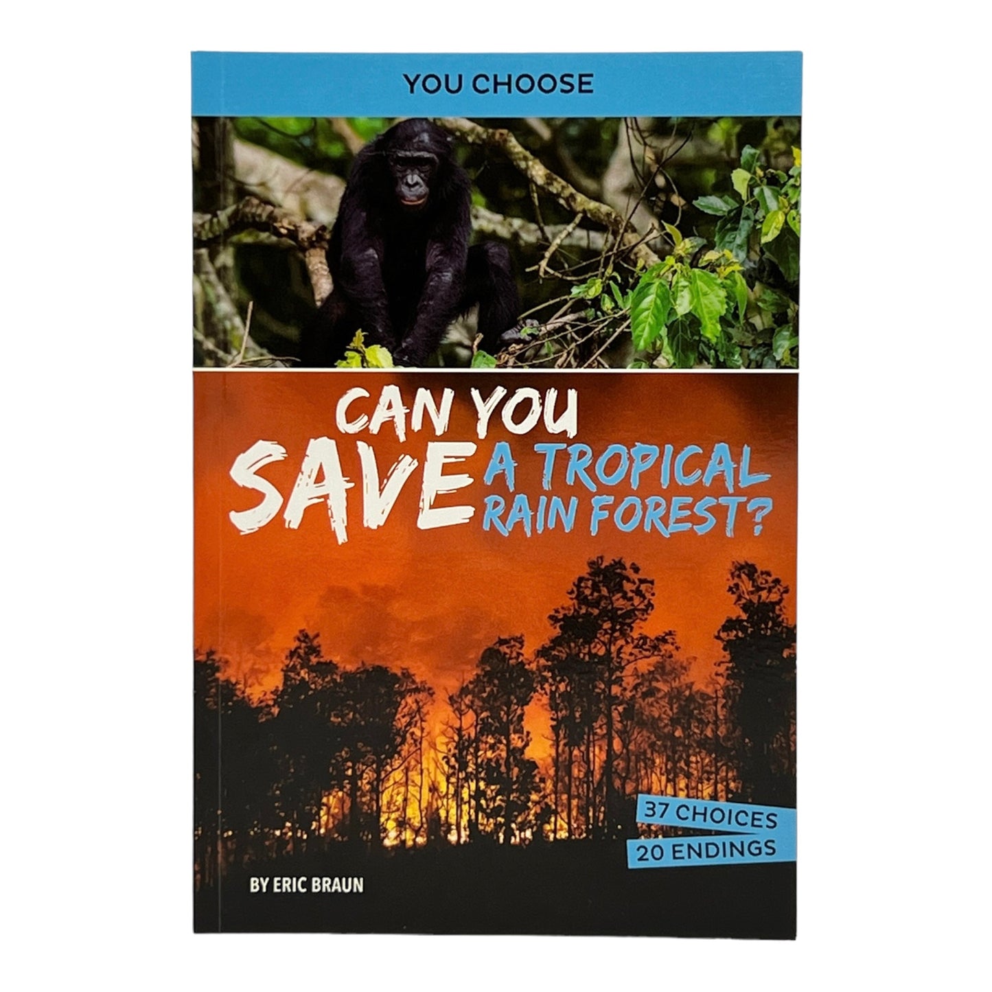 Can You Save a Tropical Rainforest?