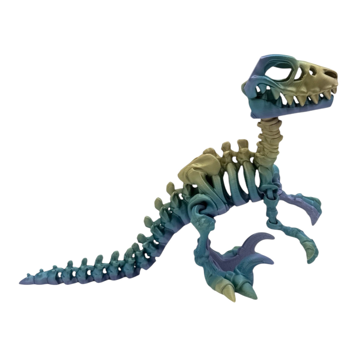 3D Printed Raptor Skeleton