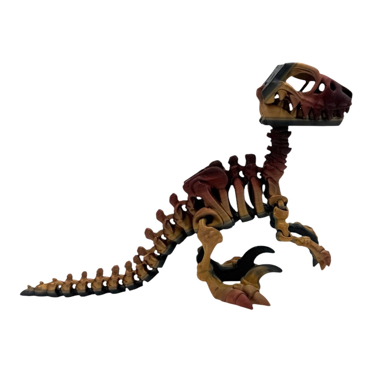 3D Printed Raptor Skeleton