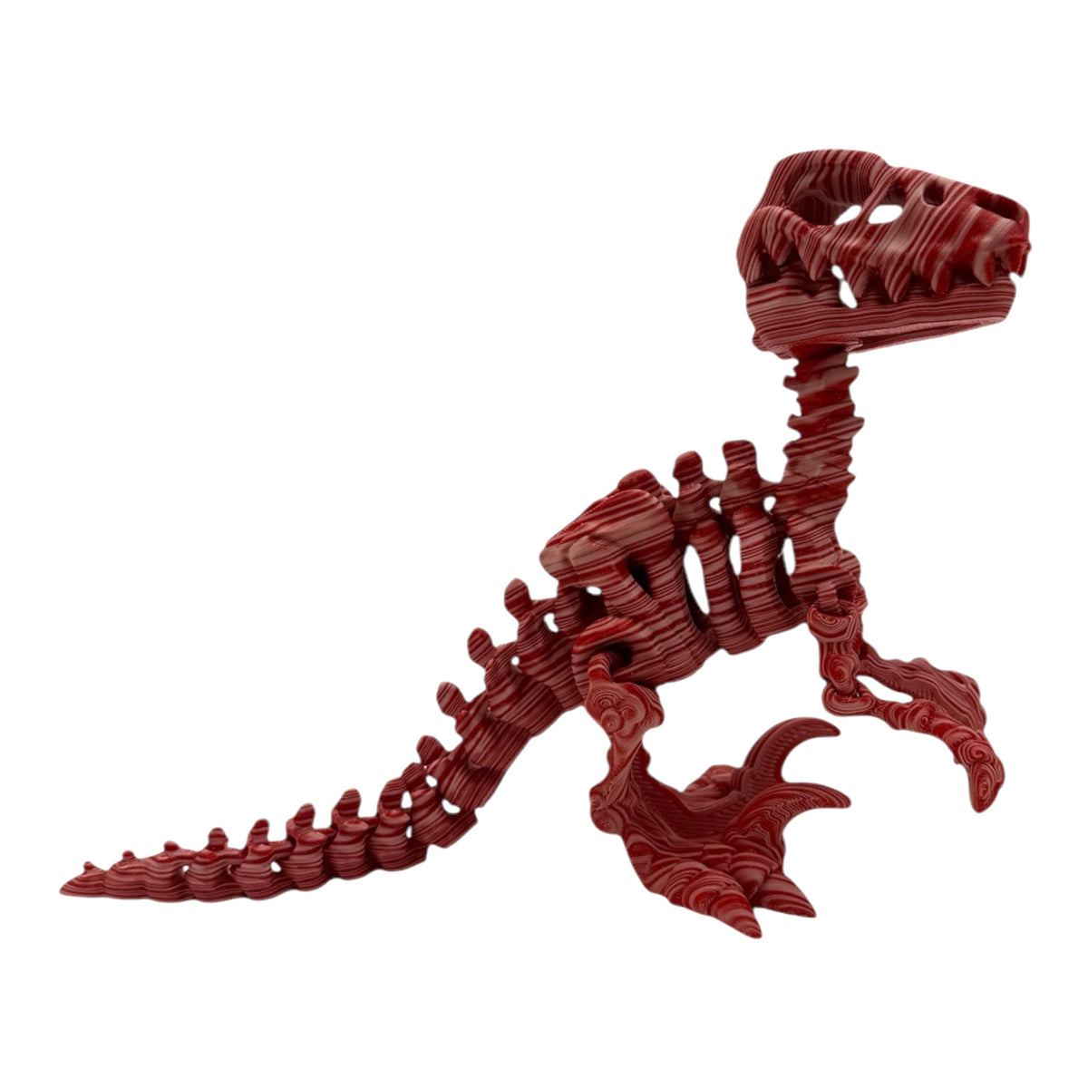 3D Printed Raptor Skeleton