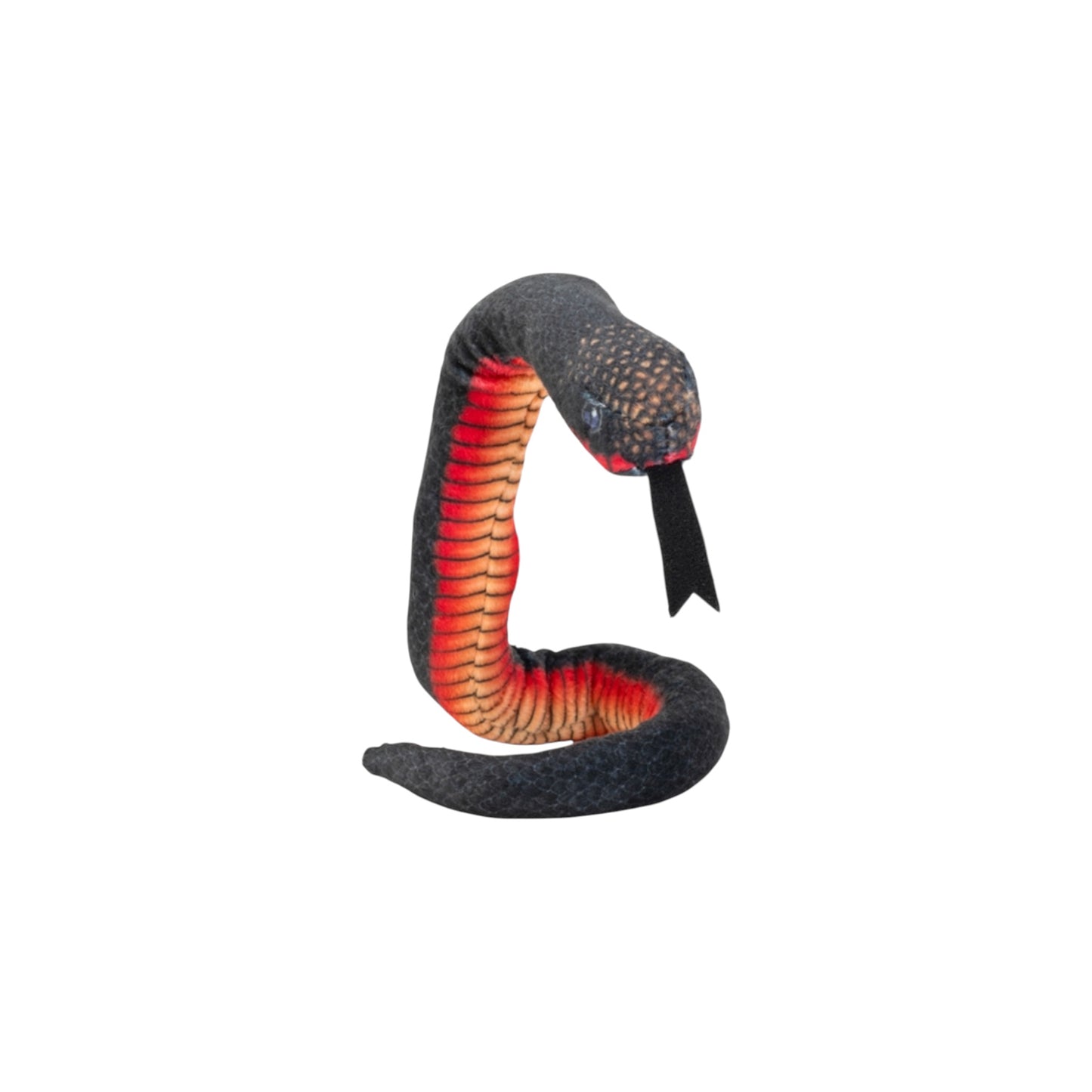 Coilkins Snake