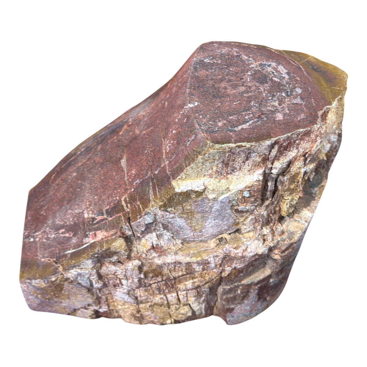 Sauropod Gem Bone