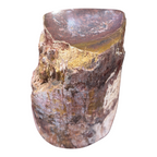 Sauropod Gem Bone