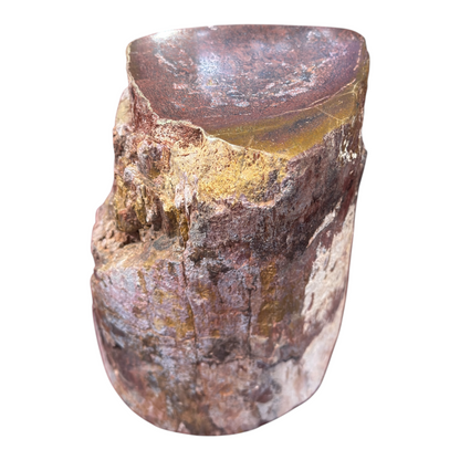 Sauropod Gem Bone