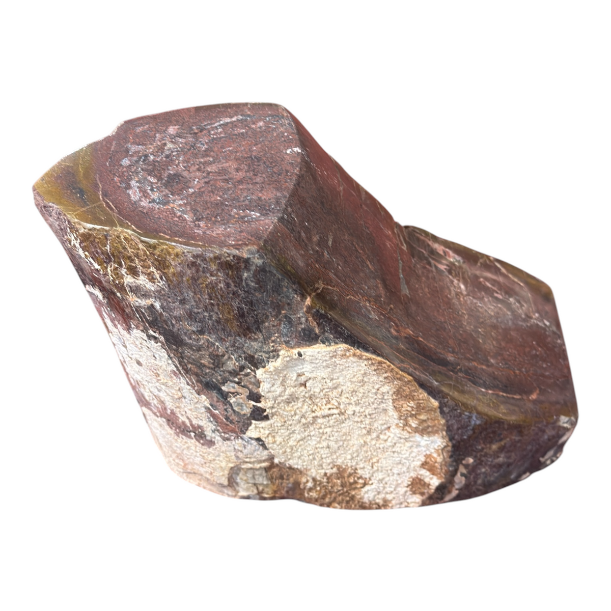 Sauropod Gem Bone