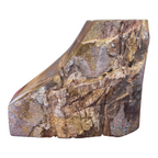 Sauropod Gem Bone