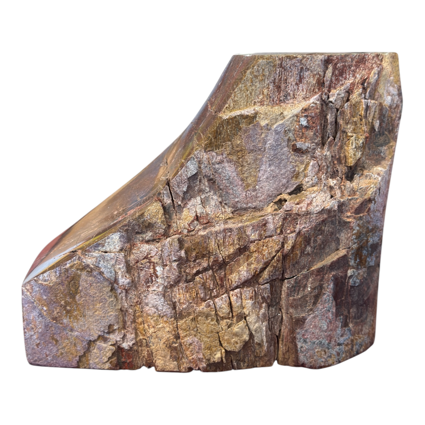 Sauropod Gem Bone
