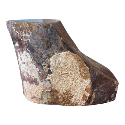 Sauropod Gem Bone