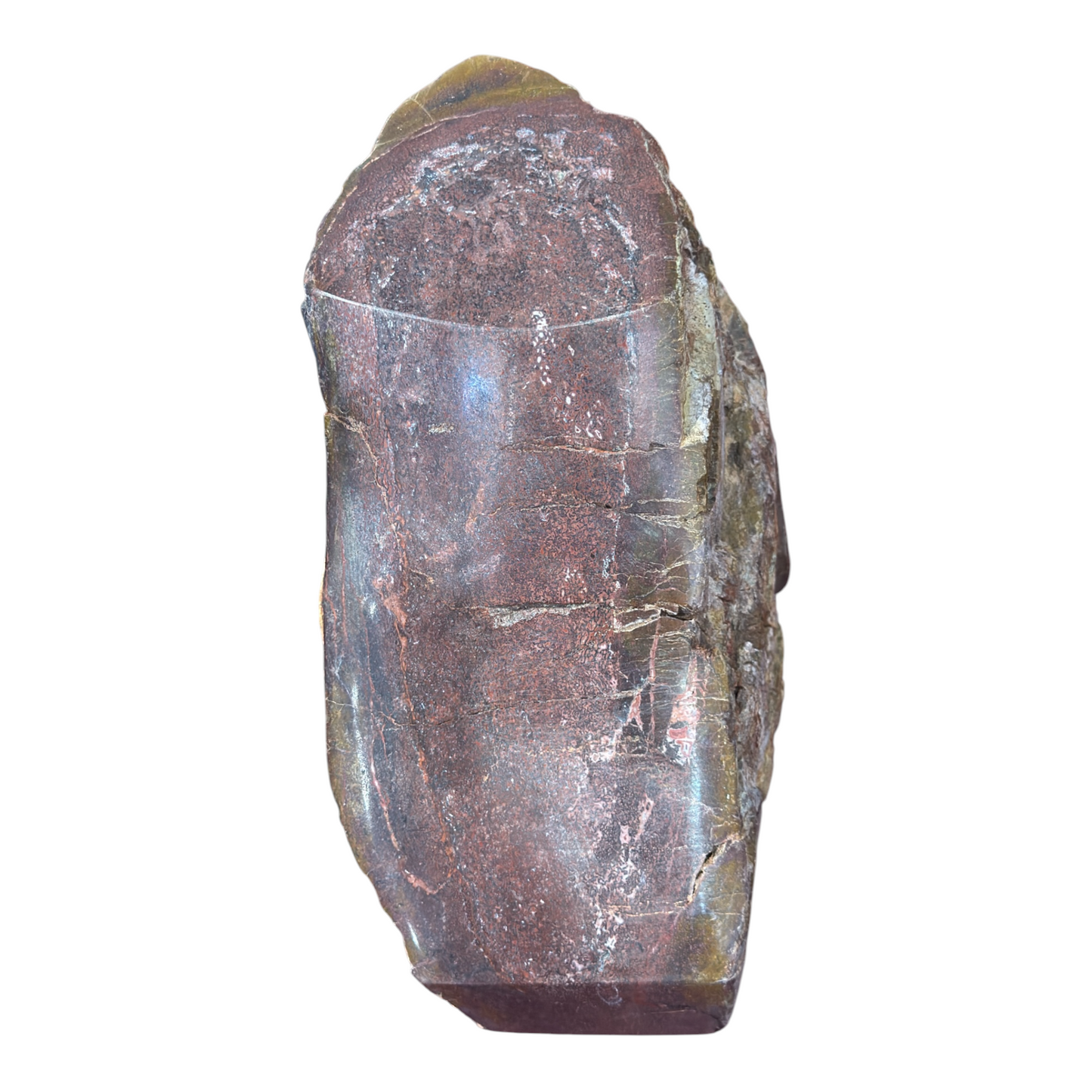 Sauropod Gem Bone