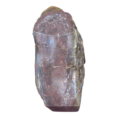 Sauropod Gem Bone