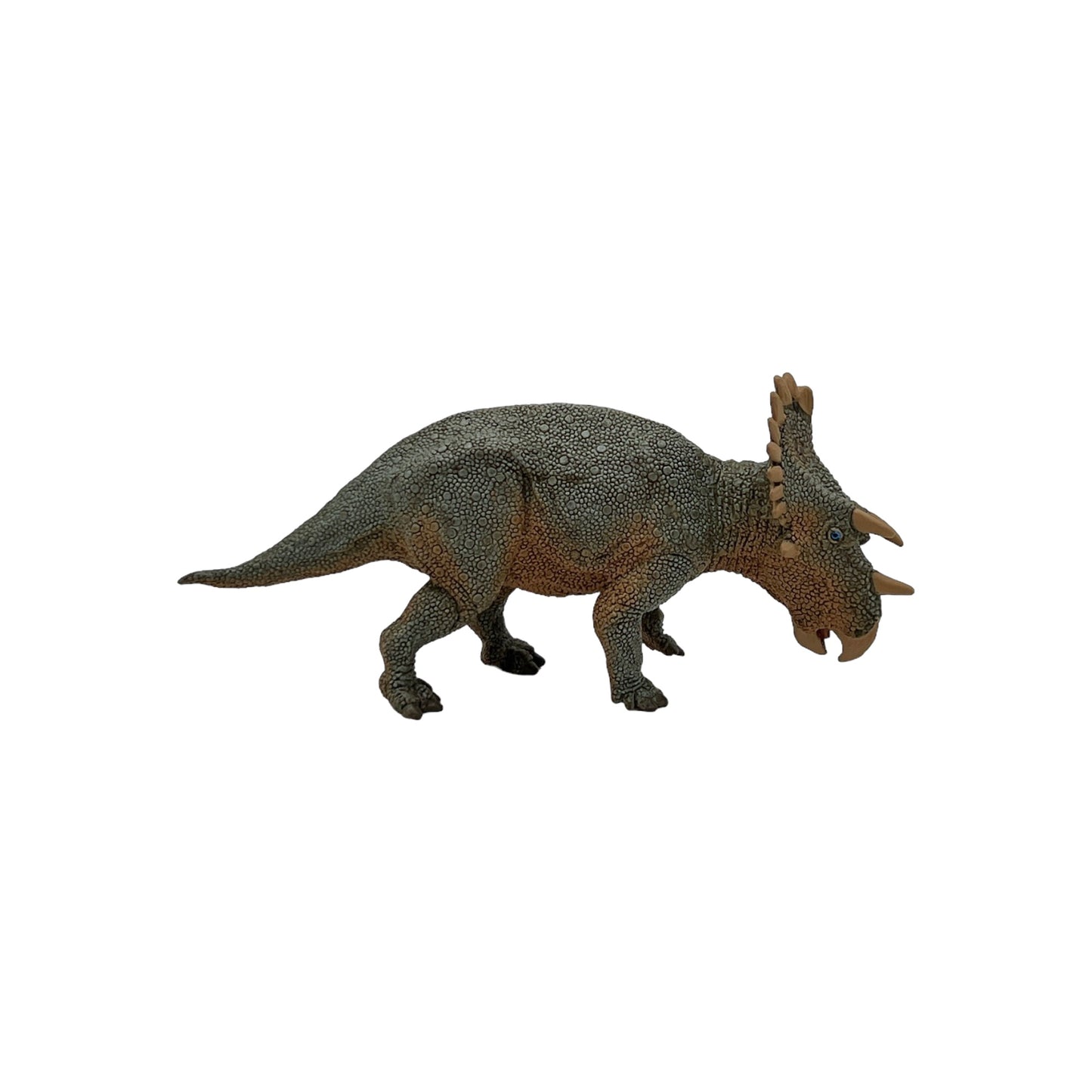 Regaliceratops (Safari)