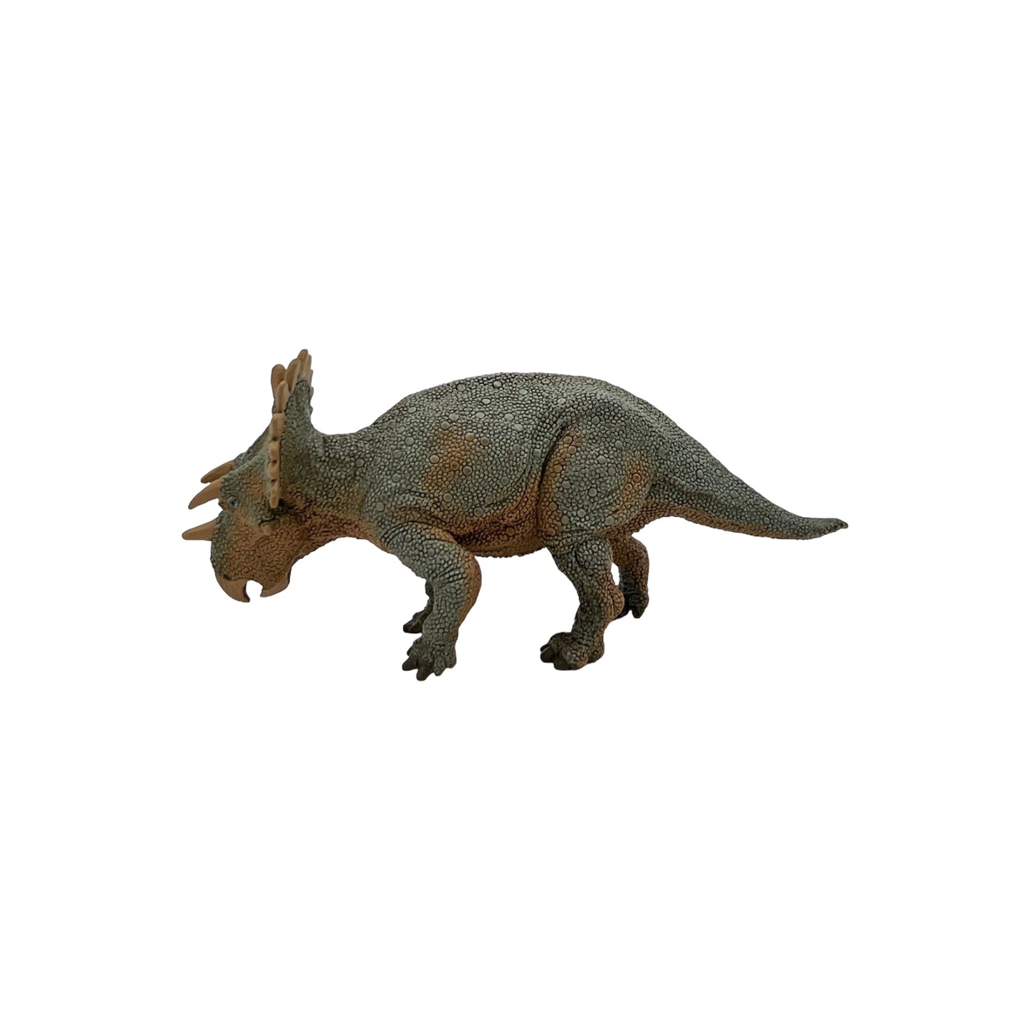 Regaliceratops (Safari)