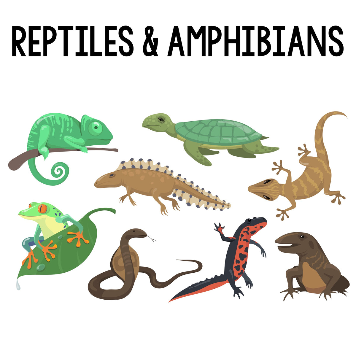 Educational Outreach