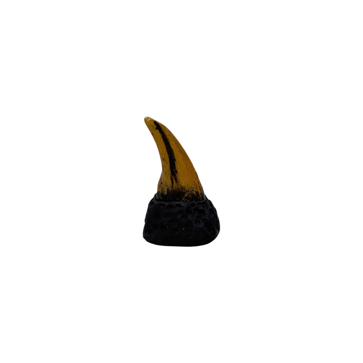 Claw Replica (T.Rex Hand Claw)