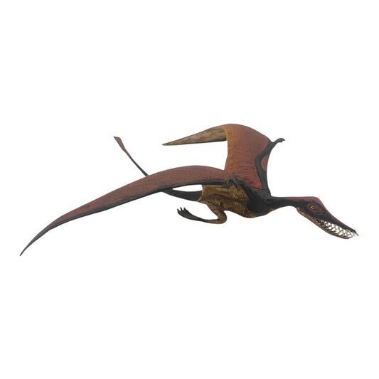 Rhamphorhynchus (Safari)