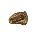 Skull Replica (Rhamphorhynchus)