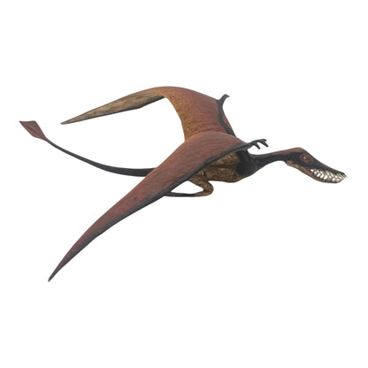 Rhamphorhynchus (Safari)