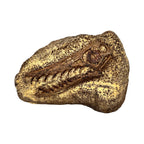 Skull Replica (Rhamphorhynchus)