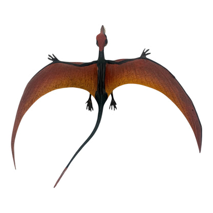 Rhamphorhynchus (Safari)
