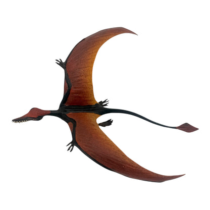 Rhamphorhynchus (Safari)