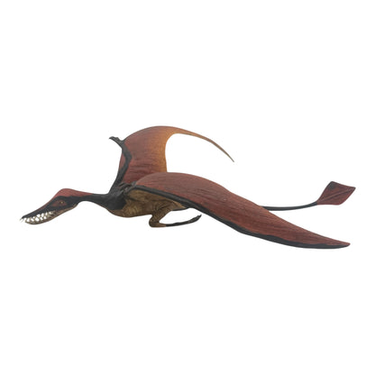 Rhamphorhynchus (Safari)