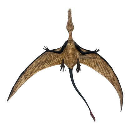 Rhamphorhynchus (Safari)