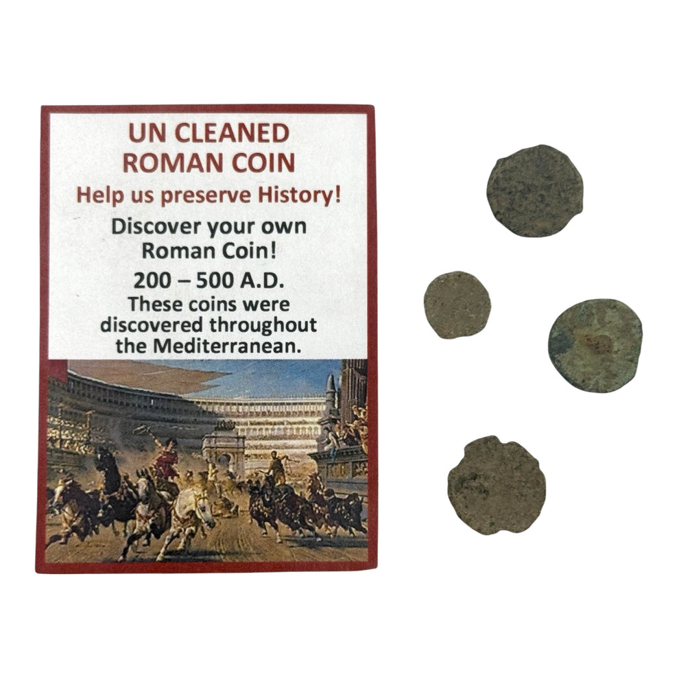 Uncleaned Roman Coins – Unearth Ancient History! – Tyrannostorus