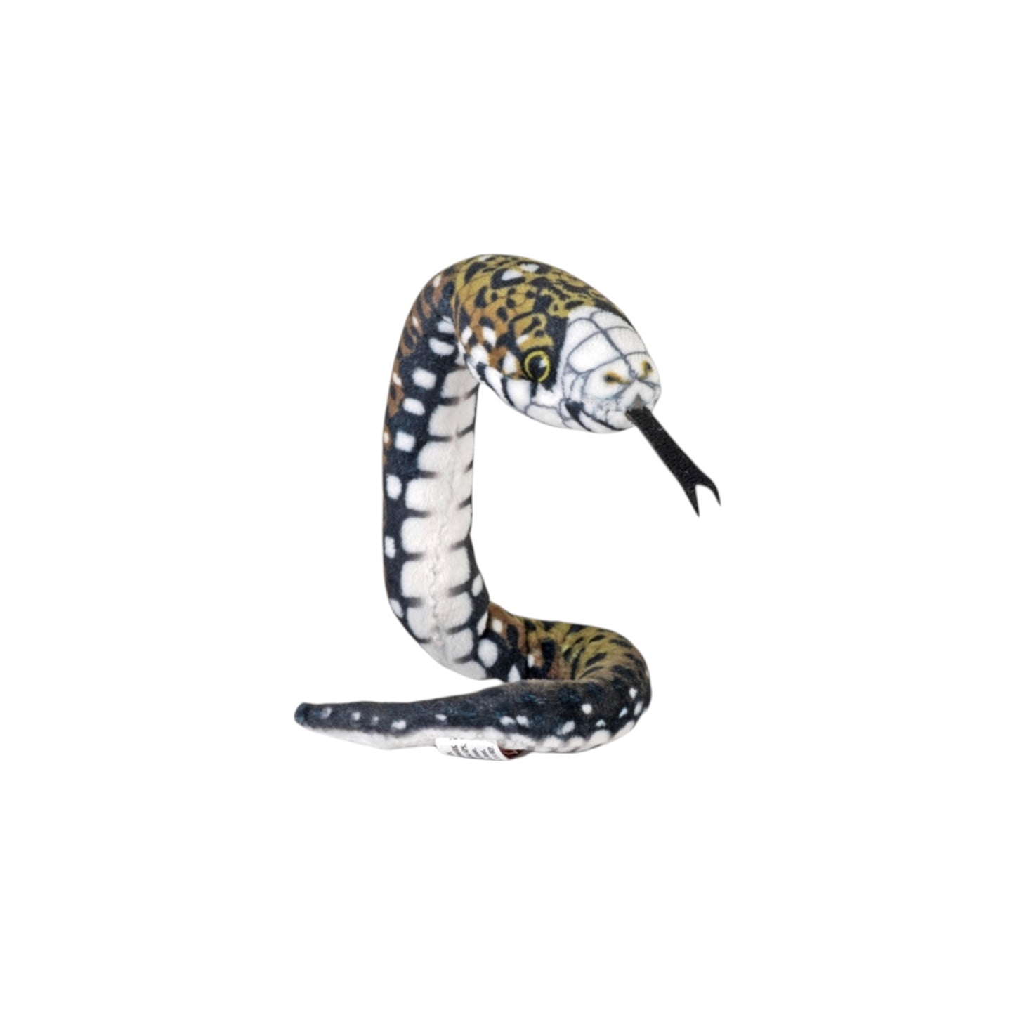 Coilkins Snake