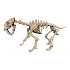 Tar Pit Dig Kit