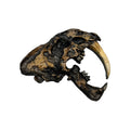 Skull Replica (Sabertooth Plaque)