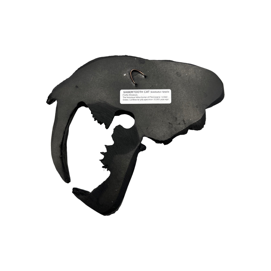 Skull Replica (Sabertooth Plaque)