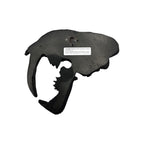 Skull Replica (Sabertooth Plaque)