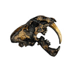 Skull Replica (Sabertooth Plaque)