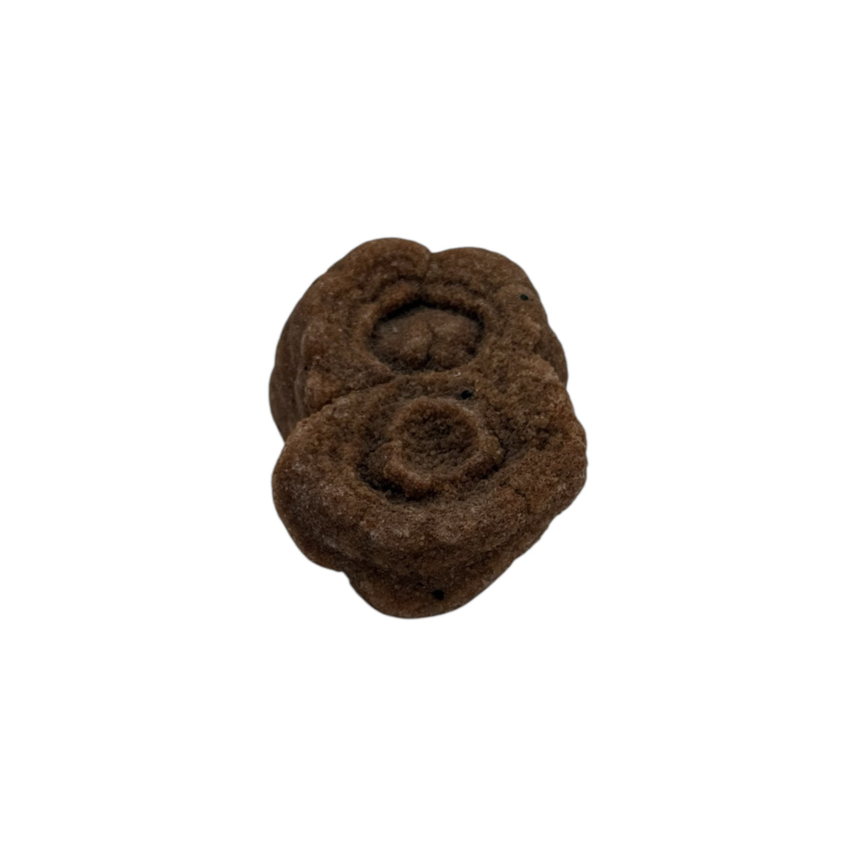 Sahara Concretion