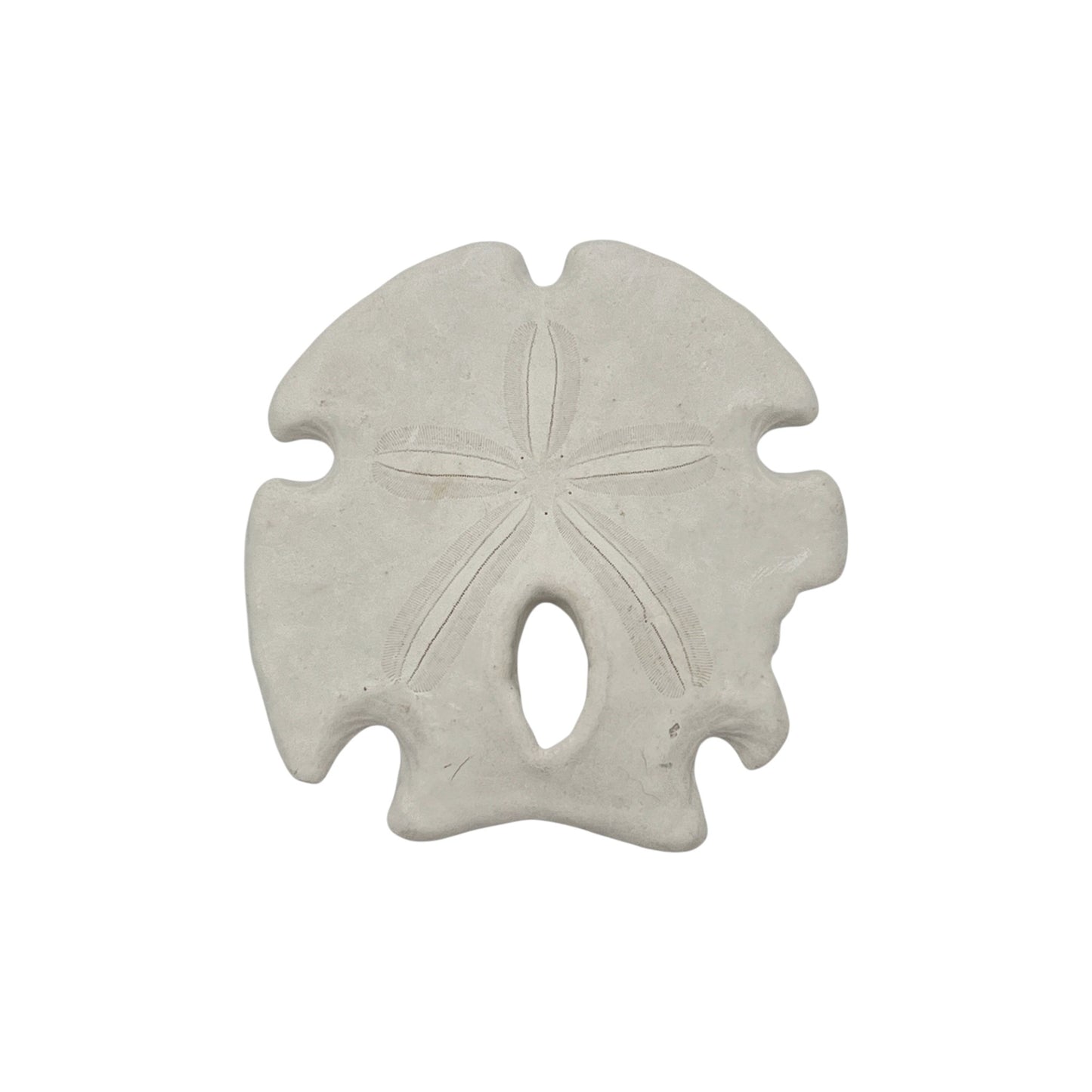 Arrowhead Sand Dollar